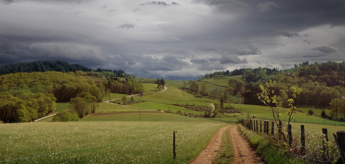 Photo of Limousin