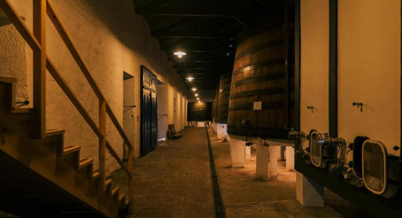 Cellar