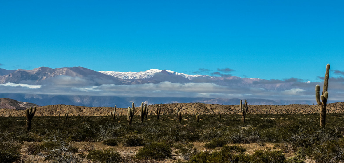 Photo of Cafayate