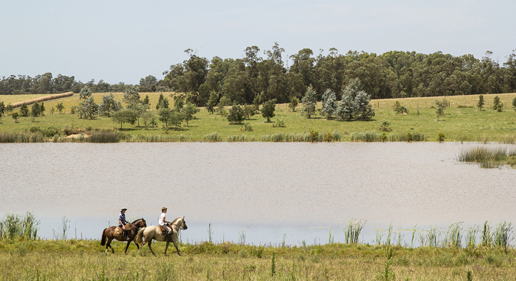 Horse Riding