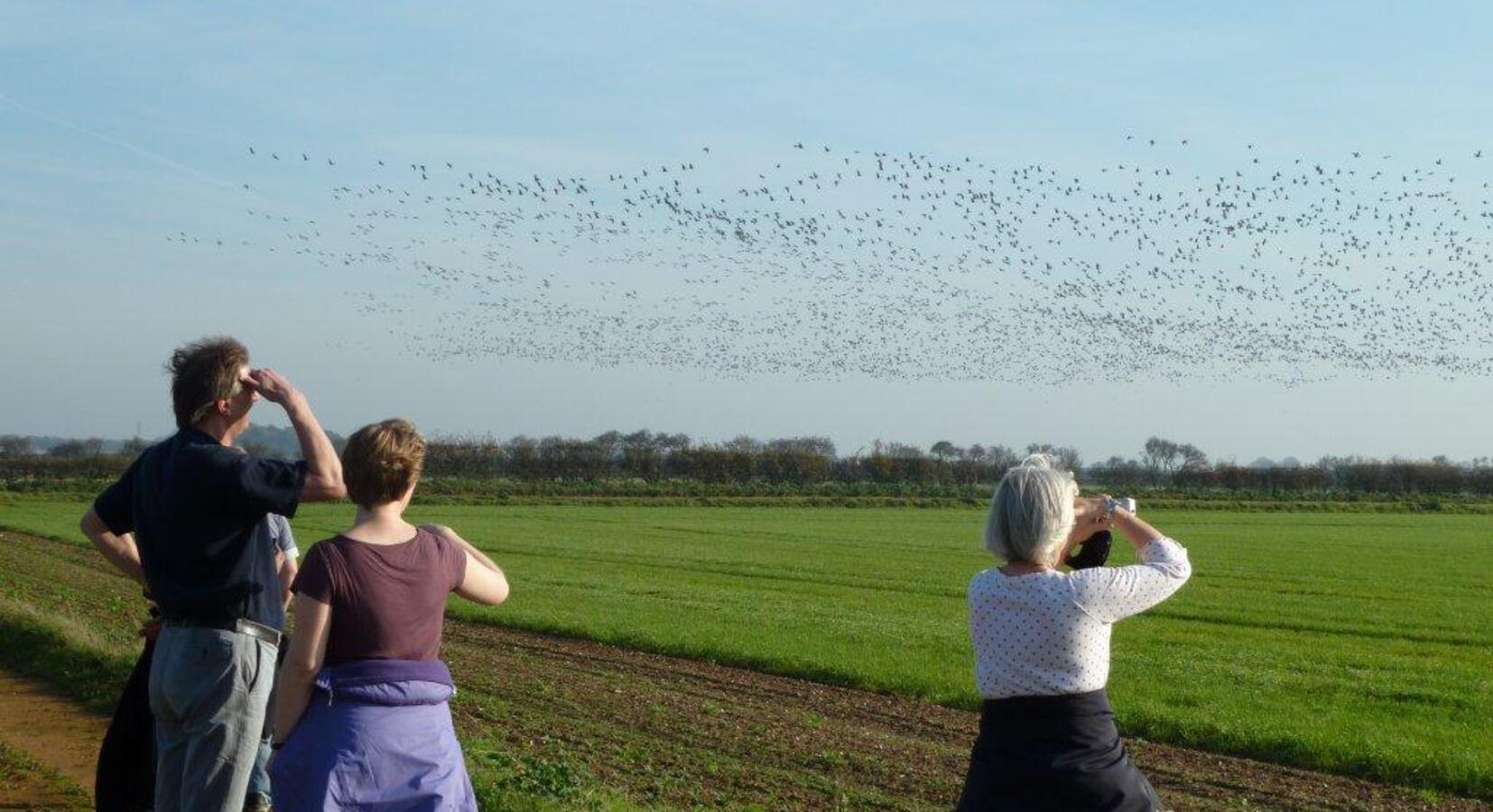 Titchwell Nature Reserve