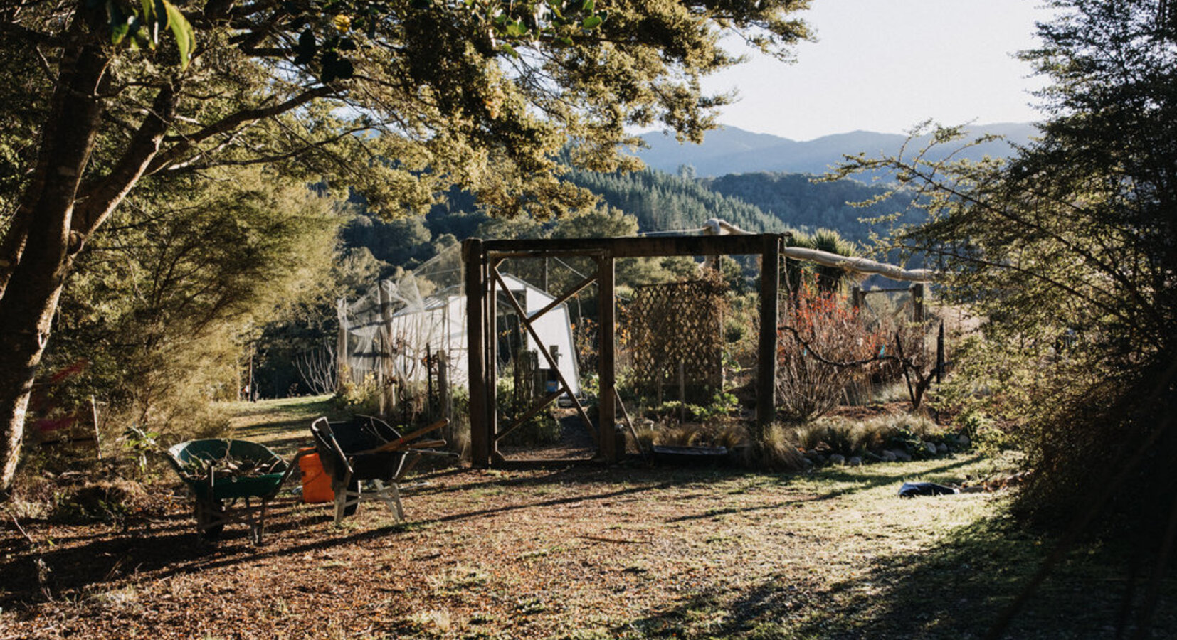 The Expansive Gardens Producing Organic Ingredients