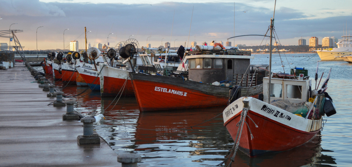 Photo of Punta del Este