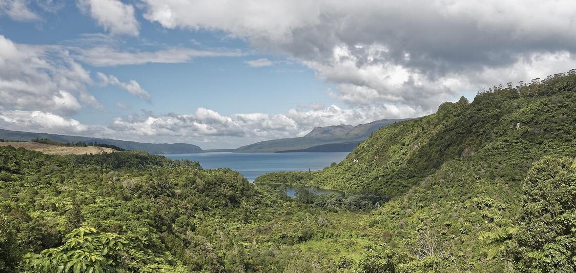 Photo of Rotorua