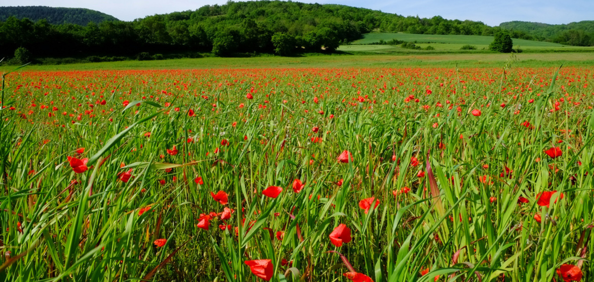 Foto von Ariege