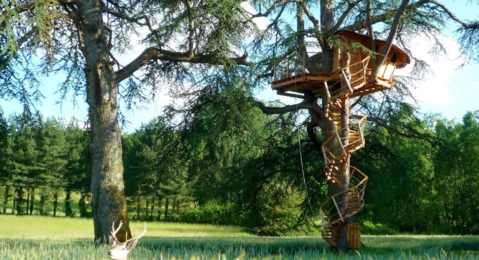 Tree House