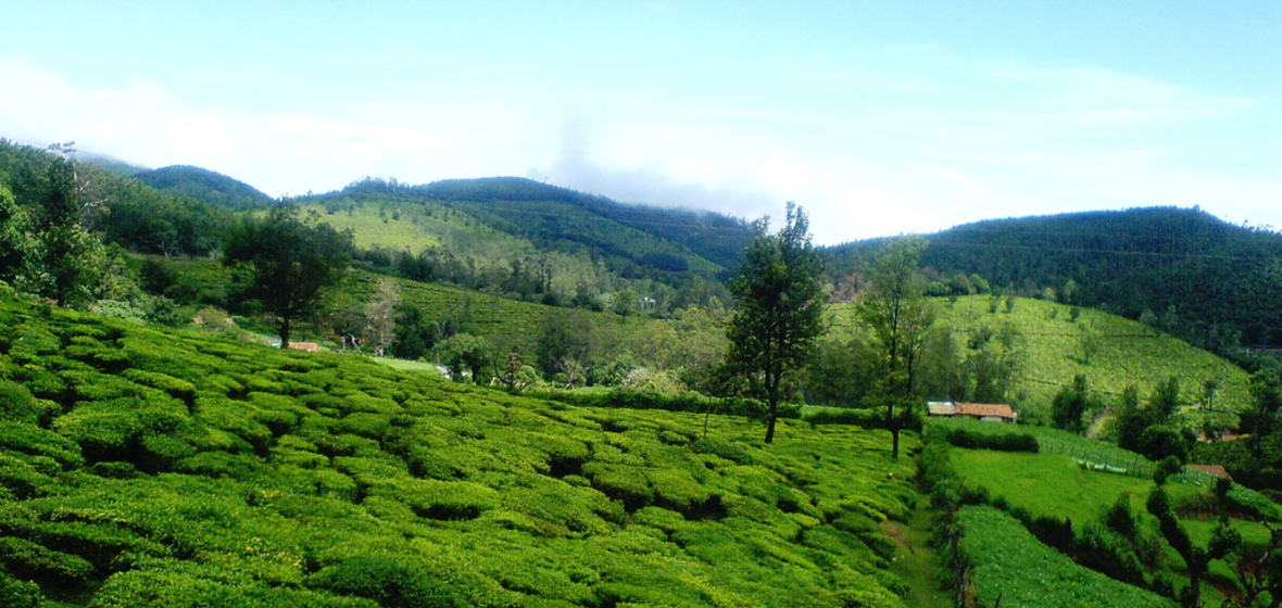 Photo of Ooty