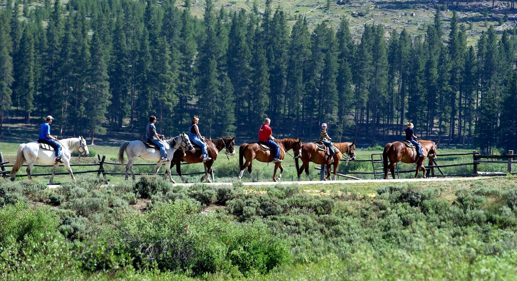 Horse Riding