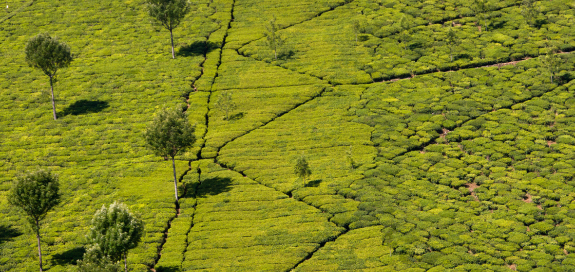 Foto von Coonoor