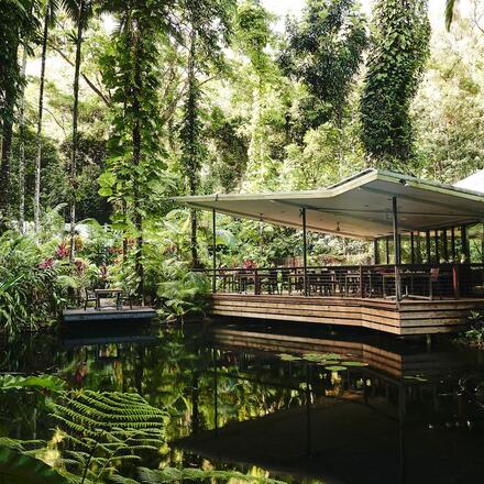 Daintree Eco Lodge & Spa