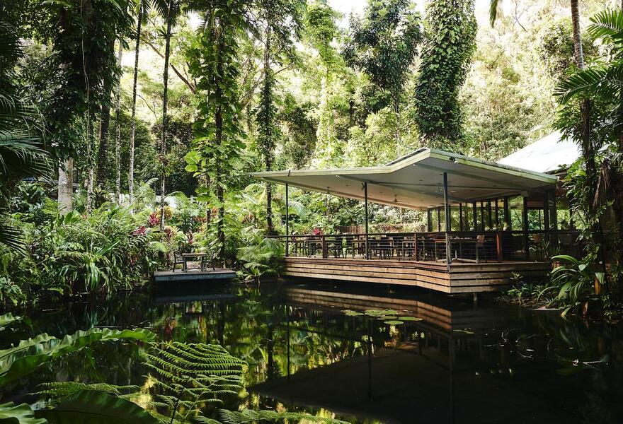 Daintree Eco Lodge & Spa