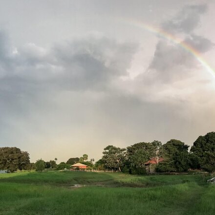 View of the grounds