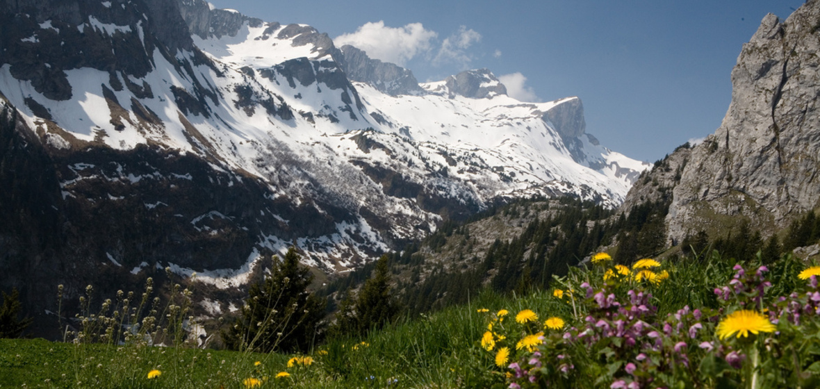 Foto von Morgins