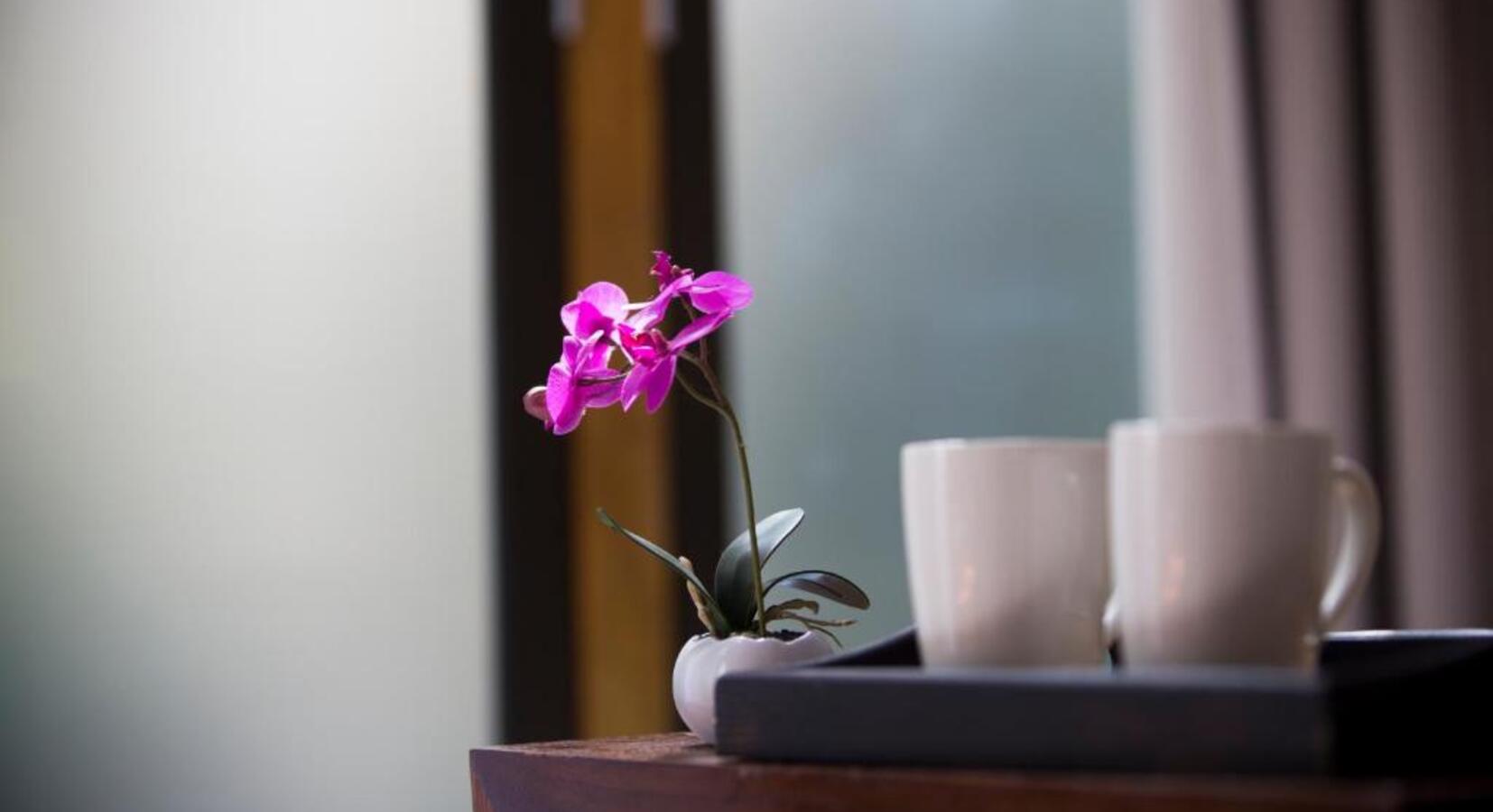 Orchids with Tea