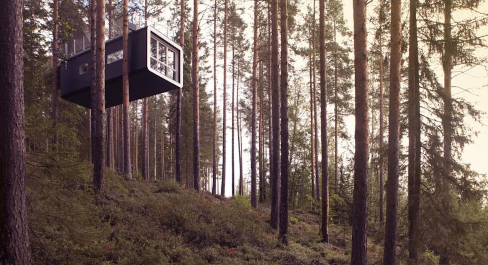 Photo of Treehotel