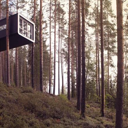 Treehotel