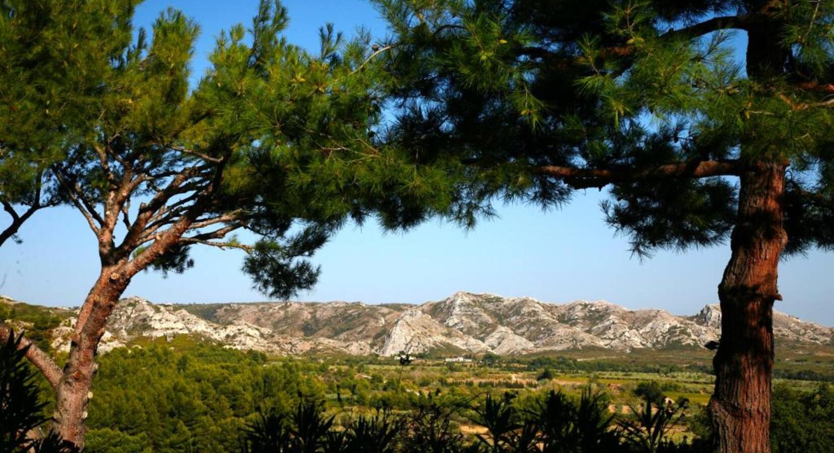 View of the Alpilles from the hotel