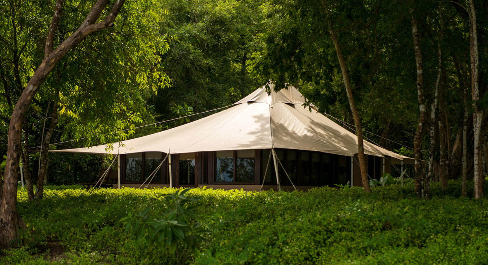 Jungle Tent