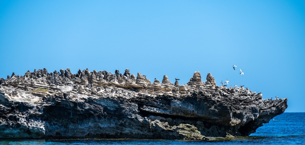 Photo of Rottnest Island