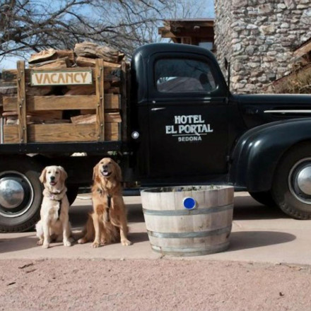 The Best Pet Friendly Hotels in Sedona