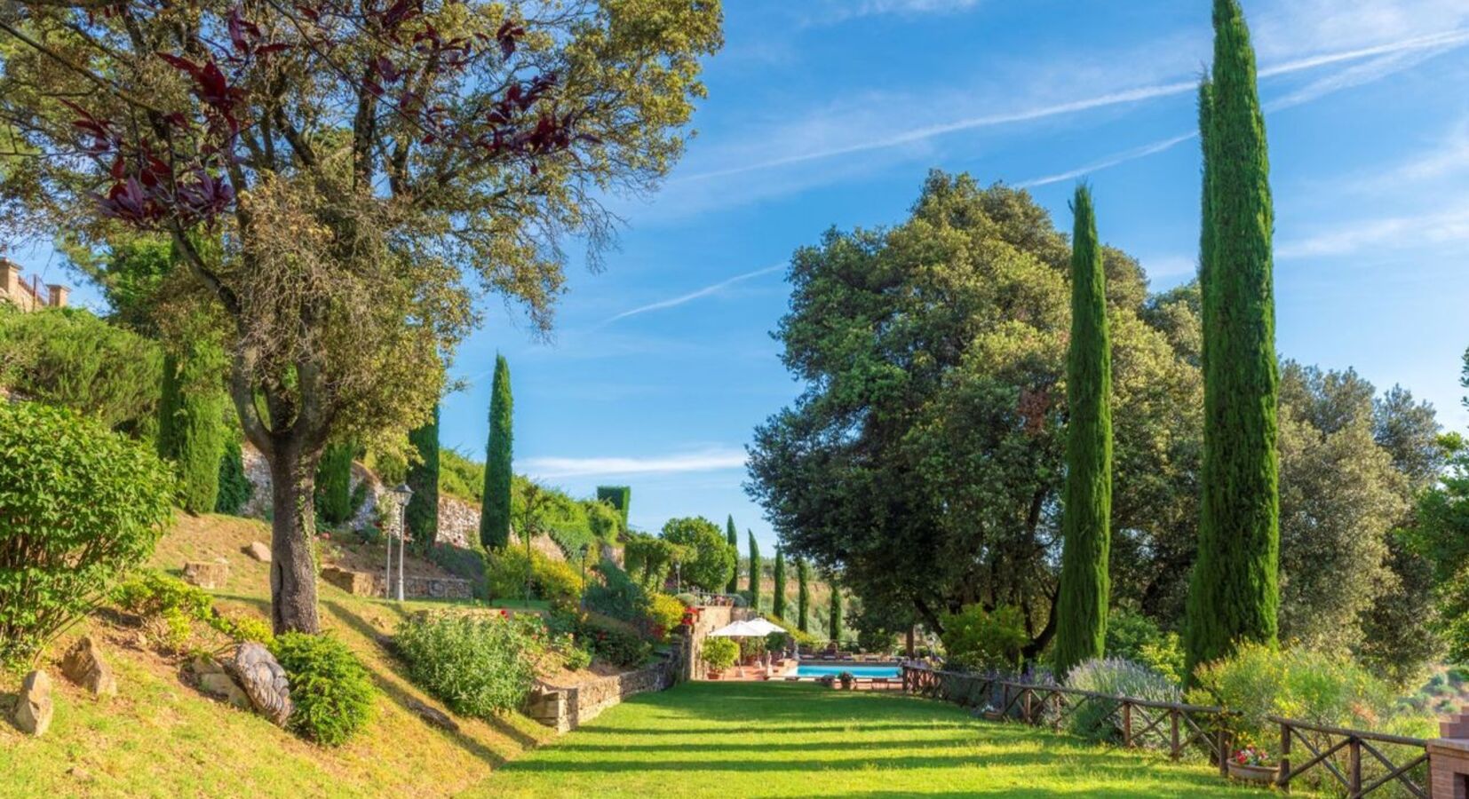 Garden and pool