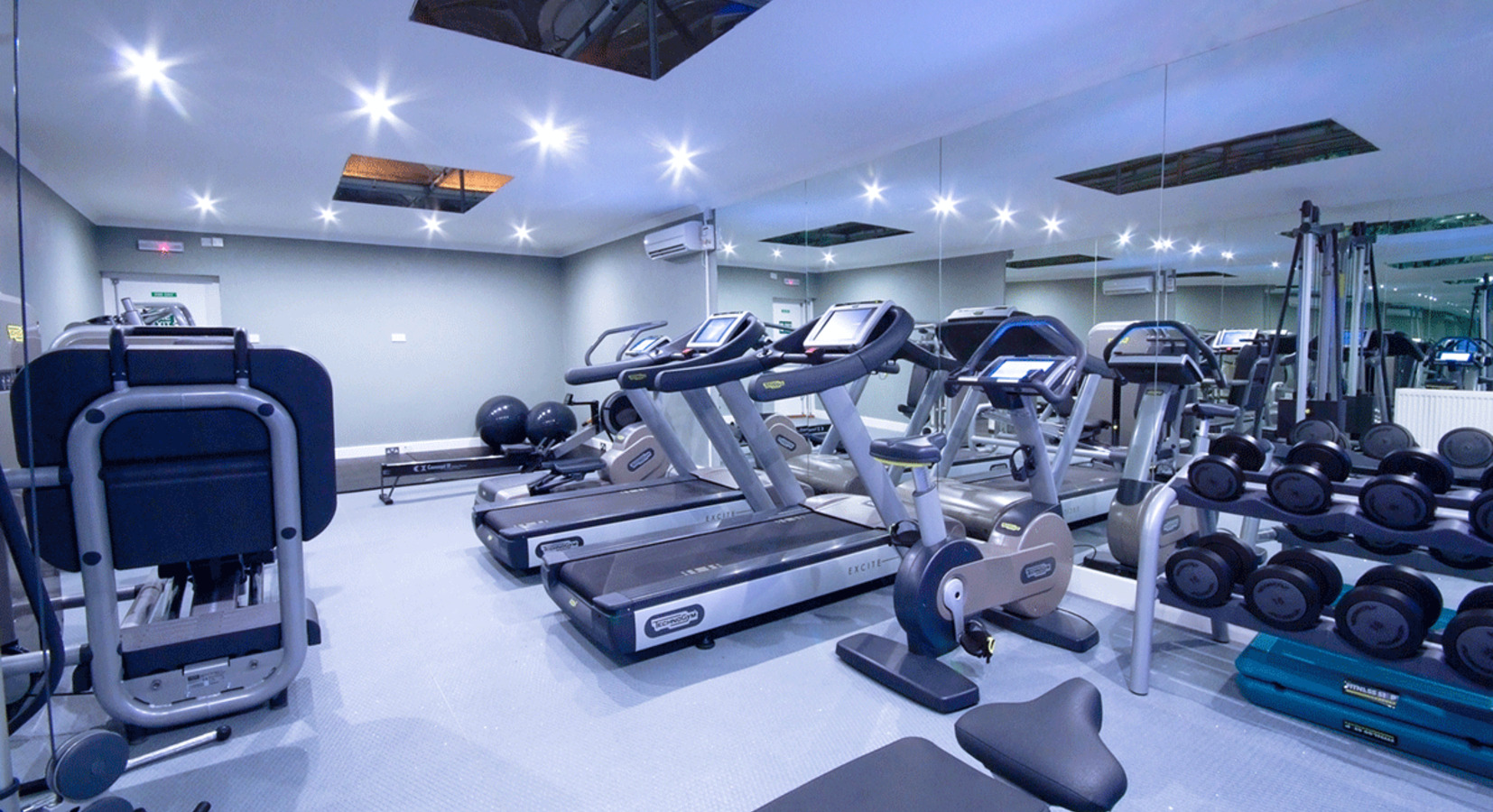 fitness suite