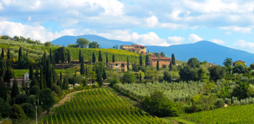 10 Best Wine hotels in Tuscany, Italy | The Hotel Guru