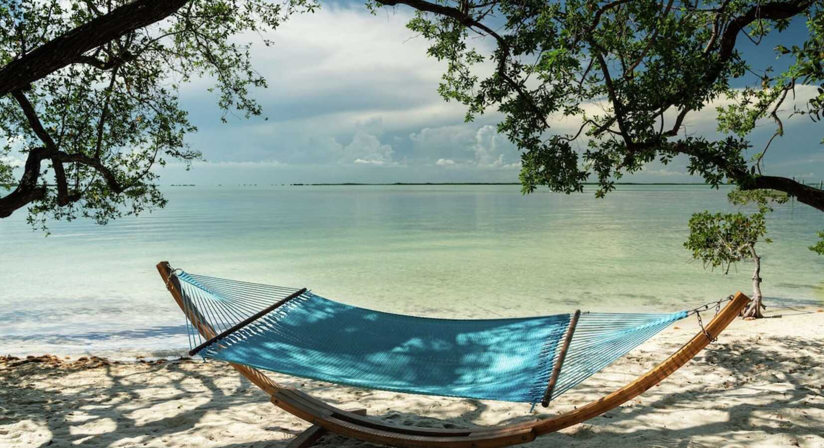 Hammock