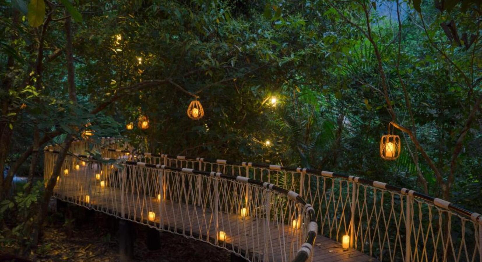 Lantern-Lit Jungle Path