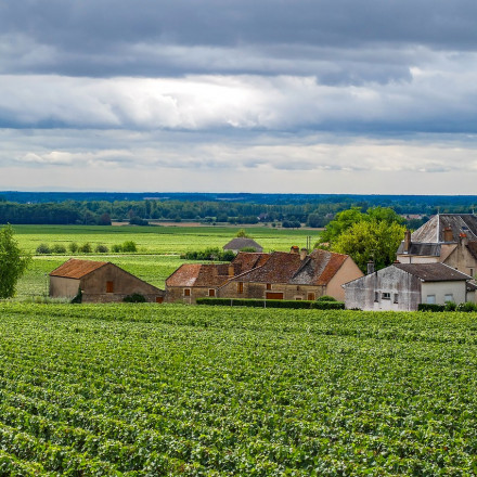 20 Best Wine Hotels in Burgundy