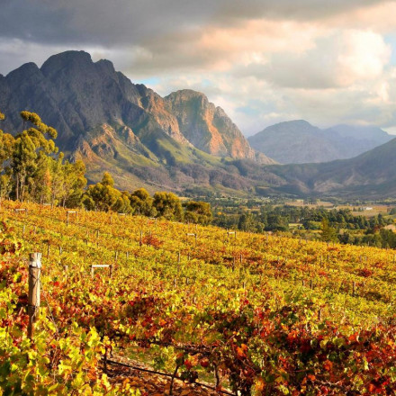 Die 11 besten Weinhotels in Franschhoek