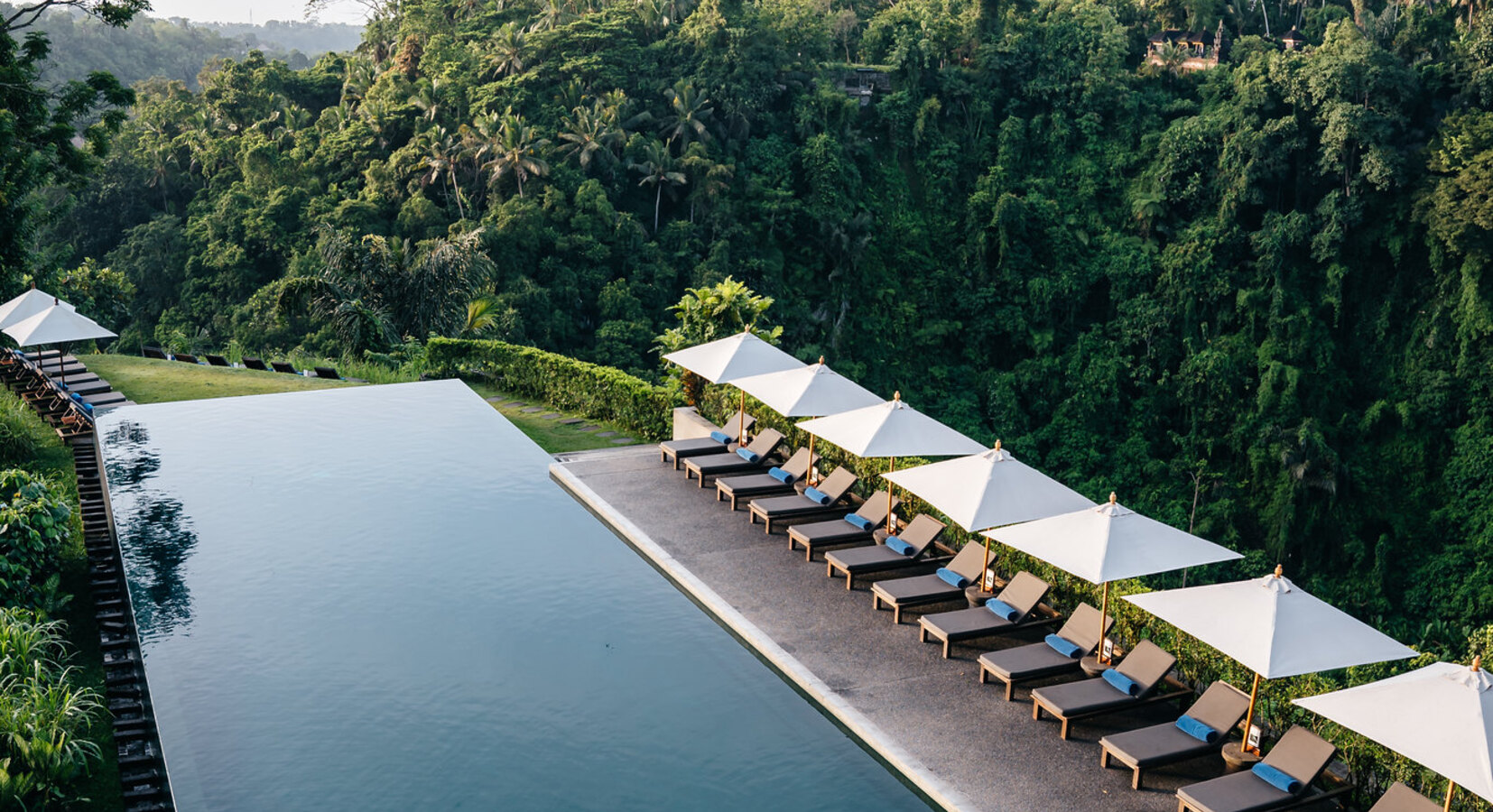 Alila Ubud - Infinity Pool