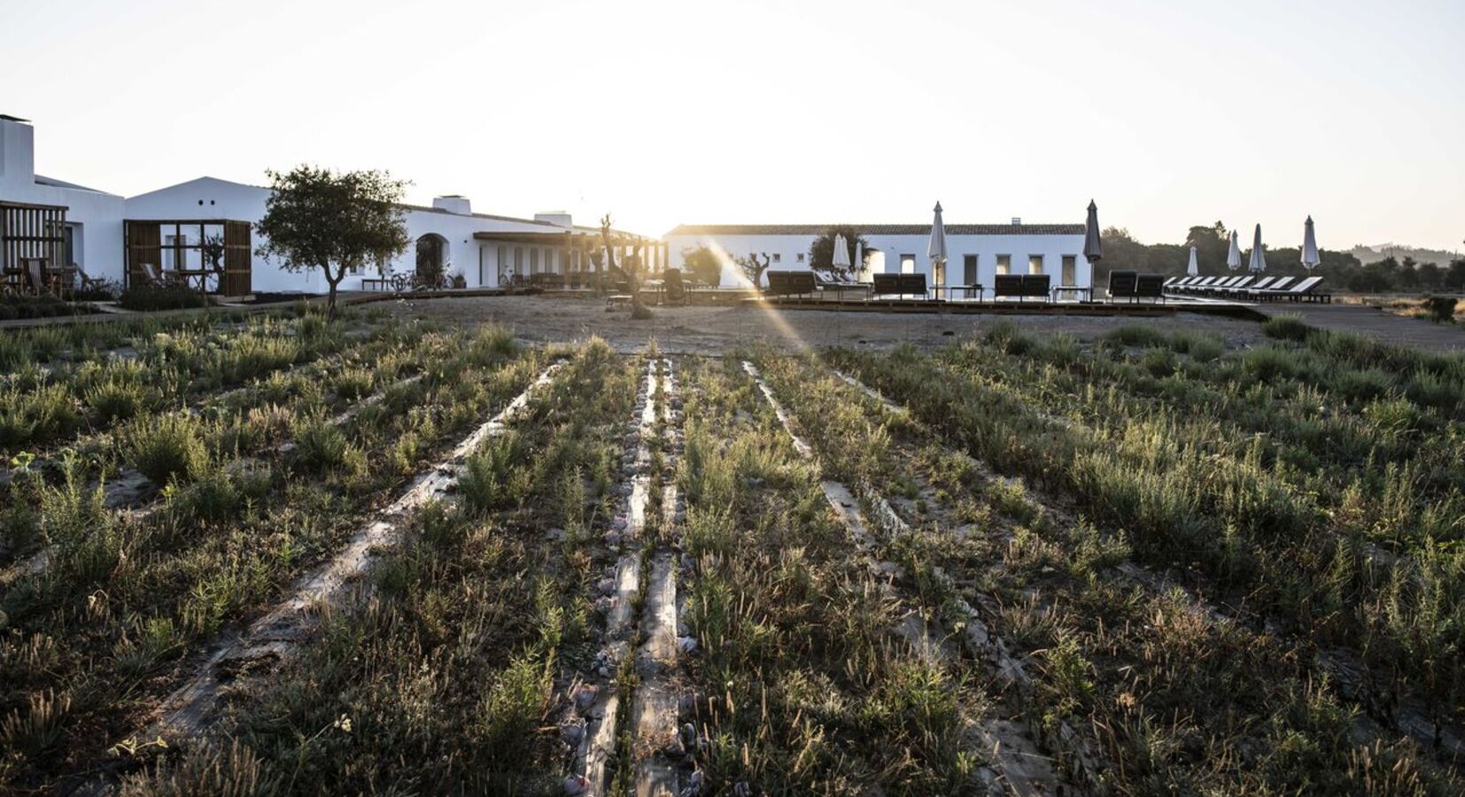 The Gardens, Growing Organic Produce