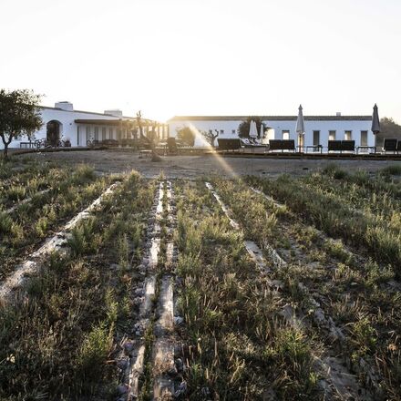 The Gardens, Growing Organic Produce