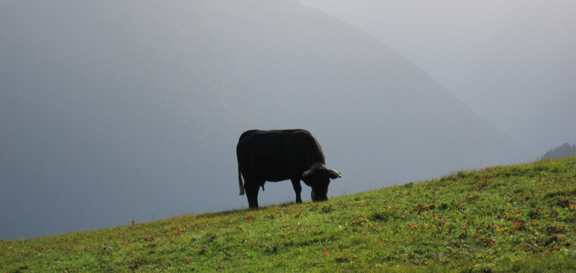 Foto von Verbier