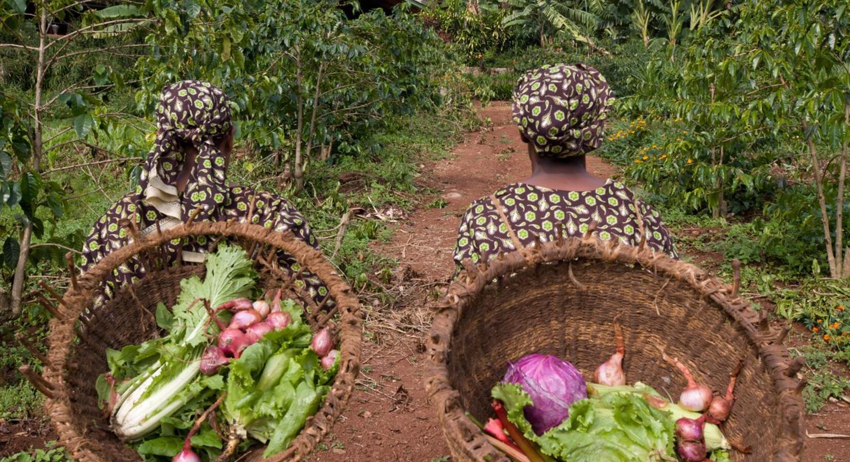 Home-grown vegetables