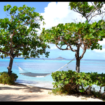 Mango Bay Resort, British Virgin Islands