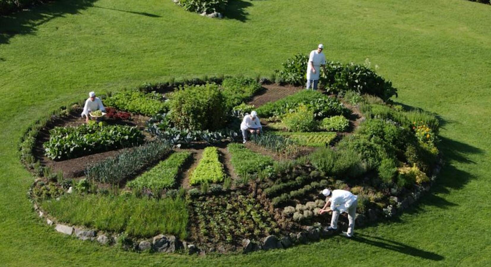 Kitchen Garden