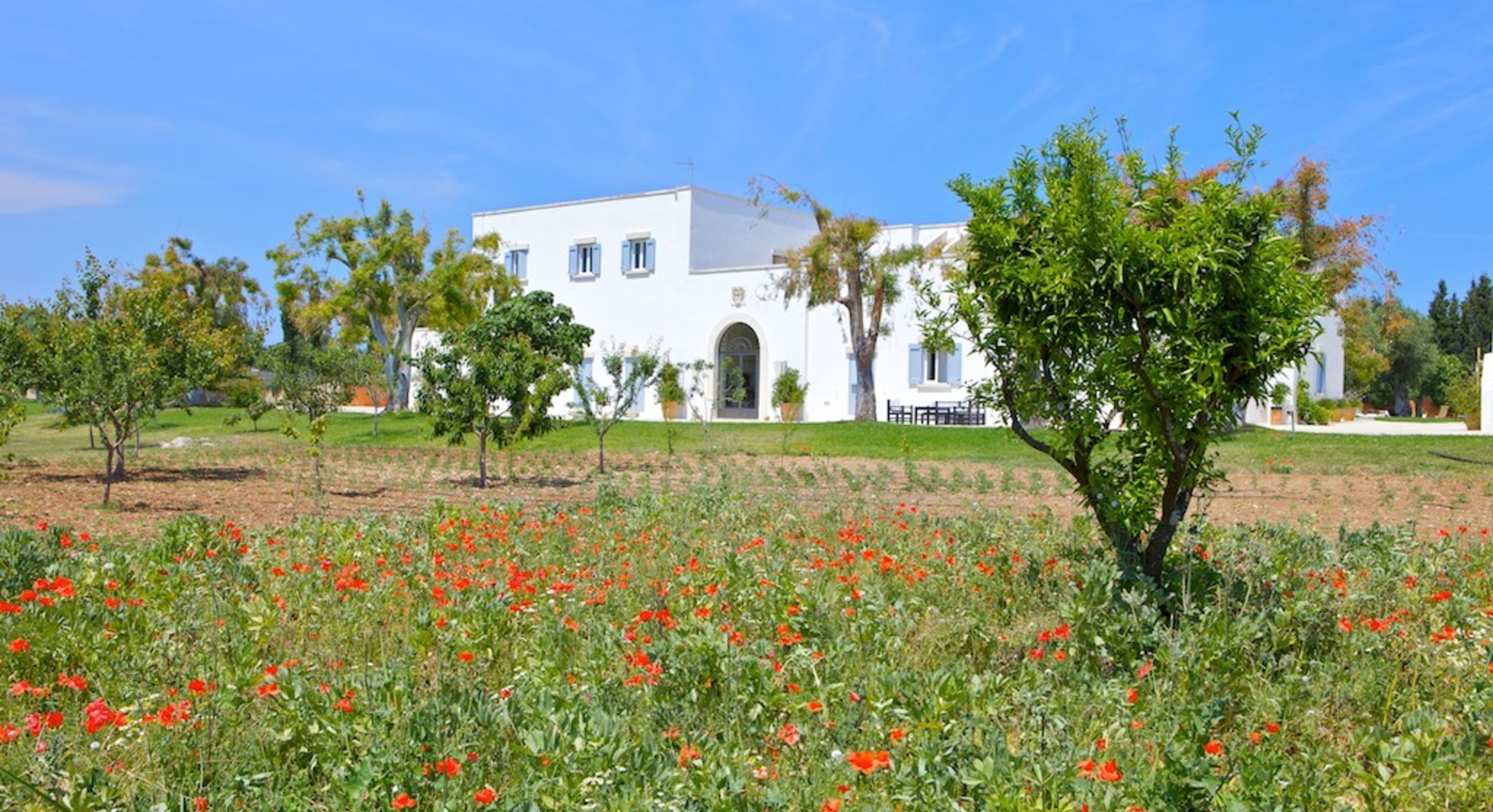 Photo of Masseria Montelauro