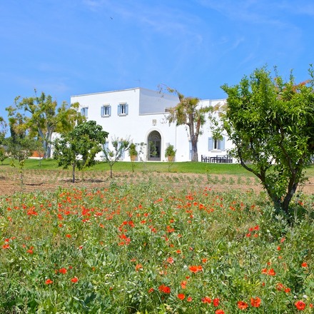 Masseria Montelauro