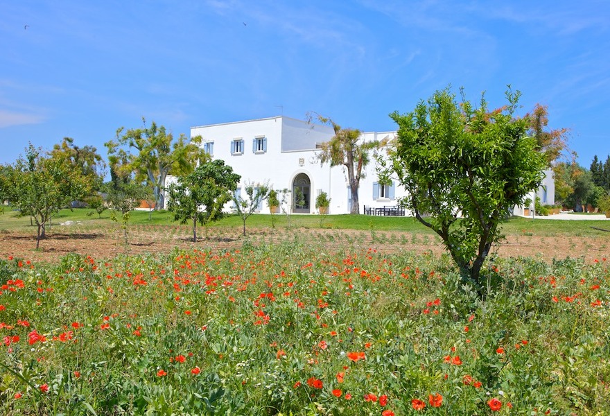 Masseria Montelauro