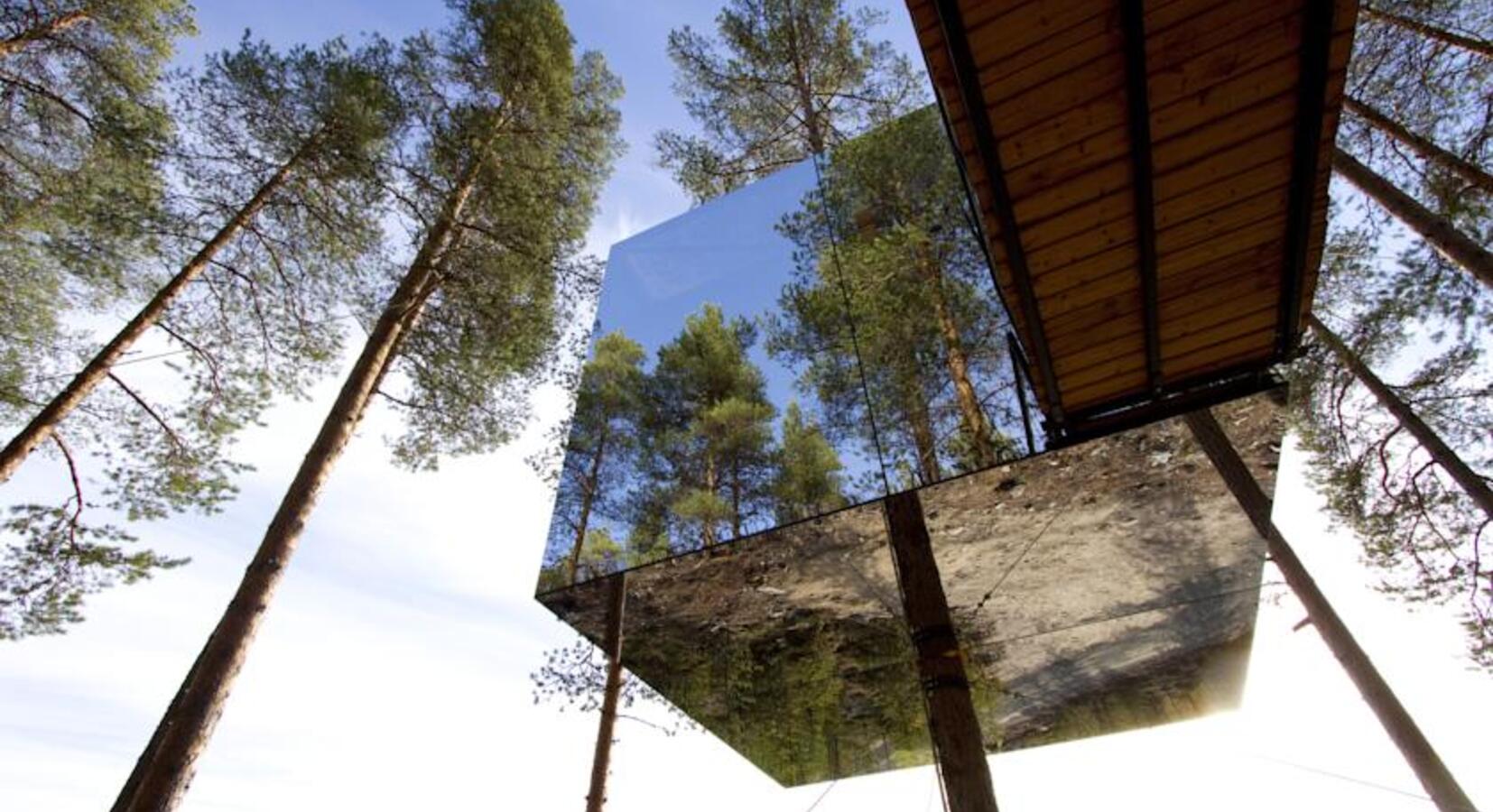 Treehouse Bedroom