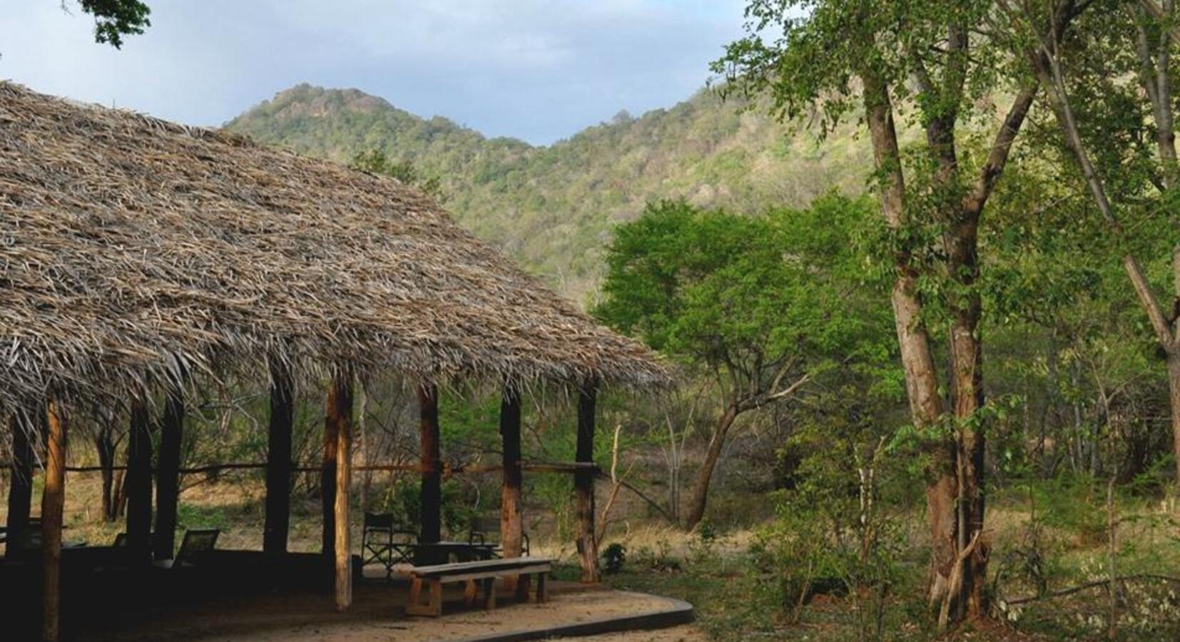 Photo of Tree Tops Jungle Lodge