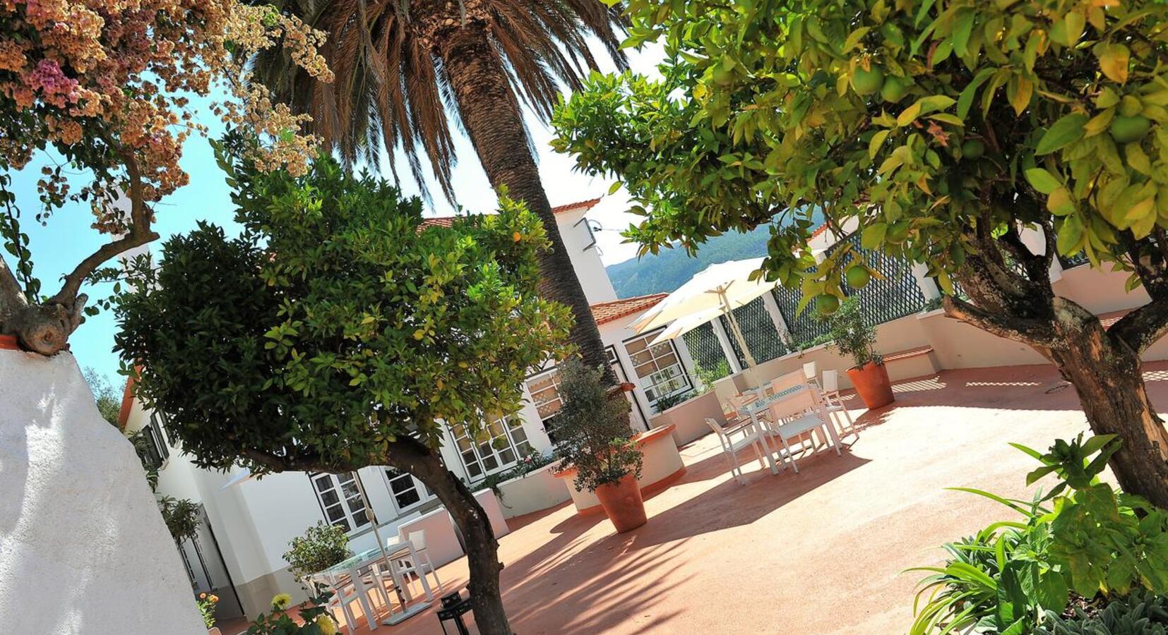 Sit-out terrace and outdoor dining