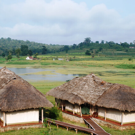 The Bison Resort