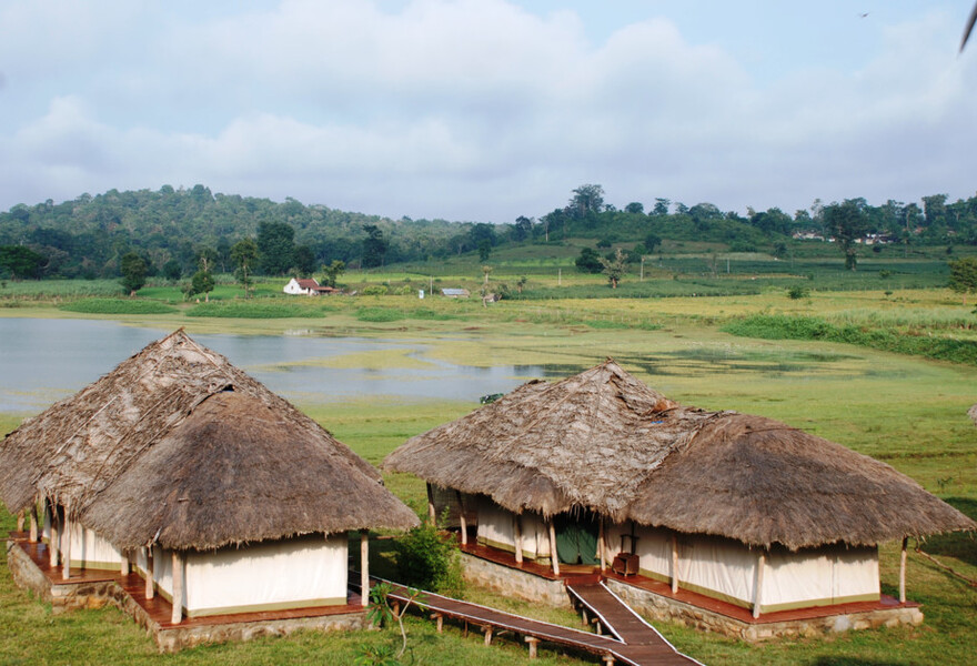 The Bison Resort