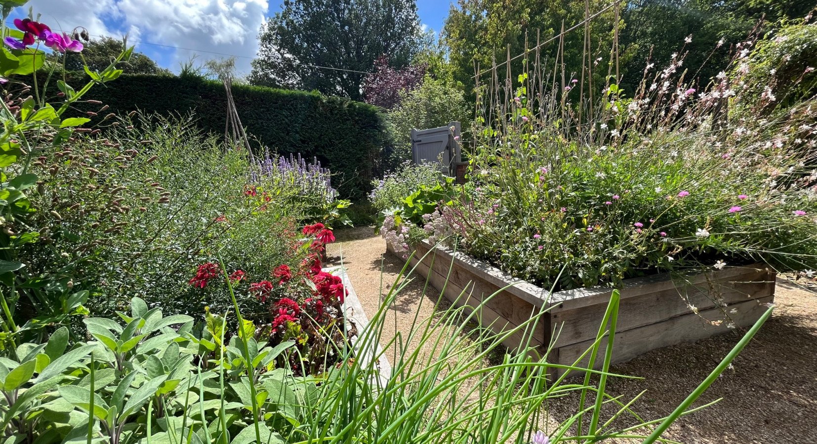 The Garden