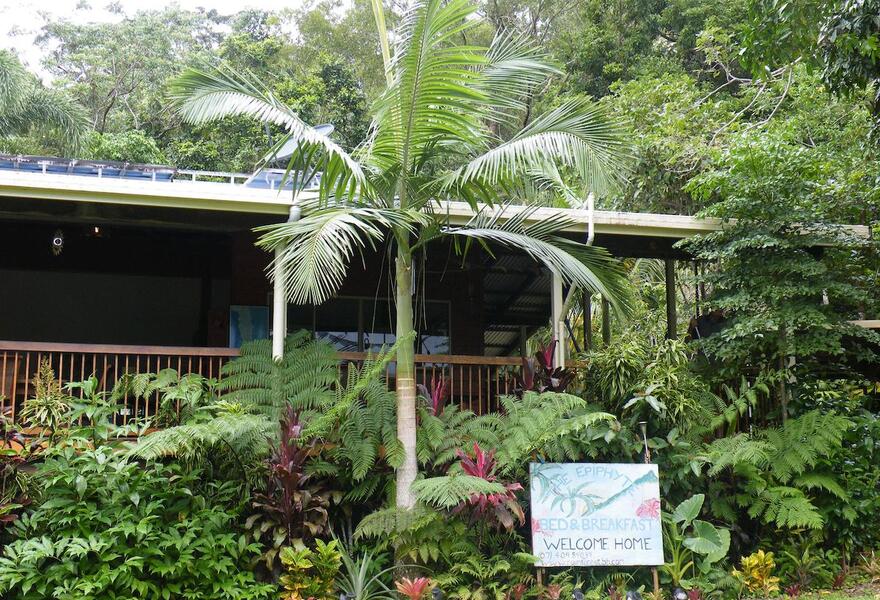 Epiphyte B&B