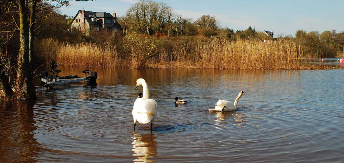 Photo of County Westmeath