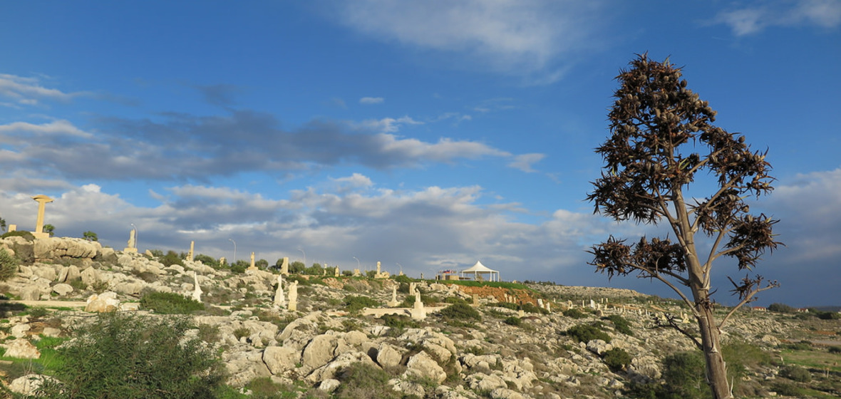 Photo of Ayia Napa